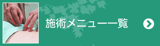 施術メニュー一覧